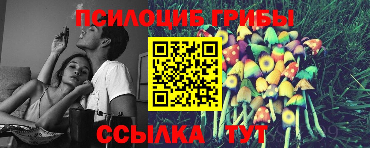 Губкин  Галлюциногенные грибы мухоморы  купить наркотик  Галлюциногенные грибы прущие грибы  Вход с VPN 